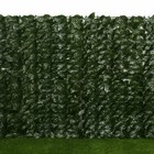 Изгородь декоративная, 100 × 300 см, «Листья удлинённые» - фото 10928453