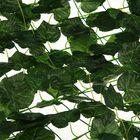 Изгородь декоративная, 100 × 300 см, «Виноградные листья» - Фото 2
