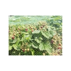 Сетка защитная для деревьев, 4 × 10 м - Фото 2