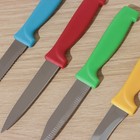 Набор кухонных ножей на подставке «Радуга», 4 предмета, лезвие 6,5 см, 8,5 см, 9,5 см, 11,5 см, на подставке, цвет МИКС - Фото 3