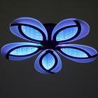 Люстра с ПДУ 69664/5BK LED 115Вт диммер 3000-6000K черный 55х55 см BayerLux 5130697