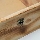 Подарочный ящик 25×25×11 см деревянный, крышка оргстекло 3 мм, обжиг - фото 24685152