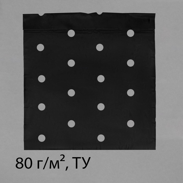 Материал мульчирующий, с перфорацией, 5 × 1,6 м, плотность 80 г/м², с УФ-стабилизатором, чёрный, Greengo, Эконом 20%