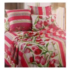 Постельное бельё 2сп Samy 175х210 см, 175х210 см, 70х70 см 2шт - Фото 1