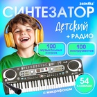 Синтезатор «Музыкальный взрыв», 54 клавиши, работает от сети и от батареек - Фото 1