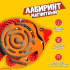 Лабиринт магнитный малый «Рыбка» МИКС - Фото 2