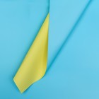 Плёнка двусторонняя цветная матовая 58 х 58 ±5% см, жёлтый, голубой - фото 319844032