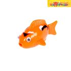 Игрушка заводная водоплавающая "Рыбка", цвета МИКС - Фото 1