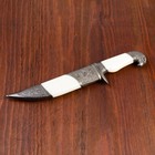 Сувенирный нож, рукоять белая с головой орла, 28см - Фото 2