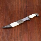 Сувенирный нож, рукоять белая с головой орла, 28см - Фото 3