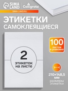 Этикетки А4 самоклеящиеся 100 листов, 80 г/м², 210×148.5 мм, белые, 2 штуки, МИКС матовые/глянец - Фото 1
