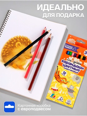 Карандаши Calligrata, цветные 12 цветов, эконом, заточенные, шестигранные, пластиковые
