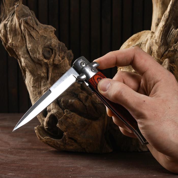 Нож складной "Штиль" 23,5см, клинок 110мм/1,6мм - фото 1908648709