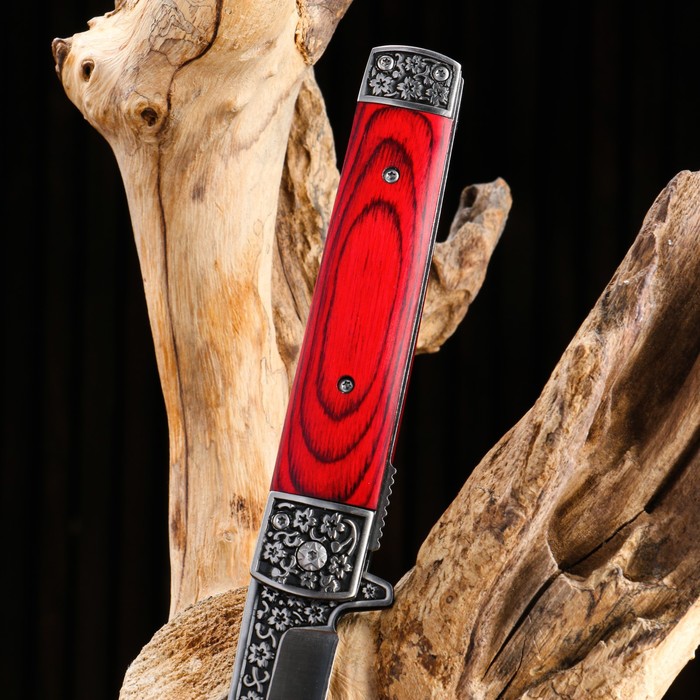 Нож складной "Танто" 22,5см, клинок 100мм/1,4мм, рукоять дерево - фото 1907189947
