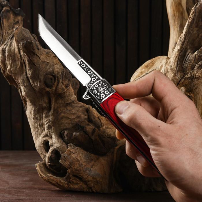 Нож складной "Танто" 22,5см, клинок 100мм/1,4мм, рукоять дерево - фото 1907189950