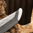 Нож охотничий "Танто", 23 см, клинок 9,5 см - фото 809406692