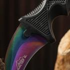 Нож-керамбит «Коготь орла», 20 см, клинок 90 мм/2.6 мм, градиент - Фото 4