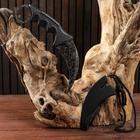 Нож-керамбит «Коготь орла», 20 см, клинок 90 мм/2.6 мм, серебристый - Фото 2