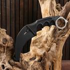 Нож-керамбит «Коготь орла», 20 см, клинок 90 мм/2.6 мм, серебристый - Фото 3