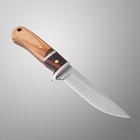 Нож охотничий "Атли" 16 см, клинок 80мм/2,8мм, дерево - Фото 4