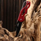 Нож складной "Красный дракон" 15см, клинок 62мм/1мм, с карабином, микс - фото 11888010
