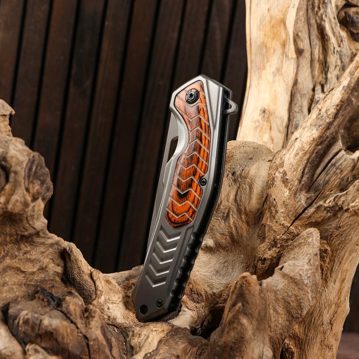 Нож складной "Хищник" полуавтоматический, накладка из дерева, 22см, клинок 9,3см - фото 1908648891