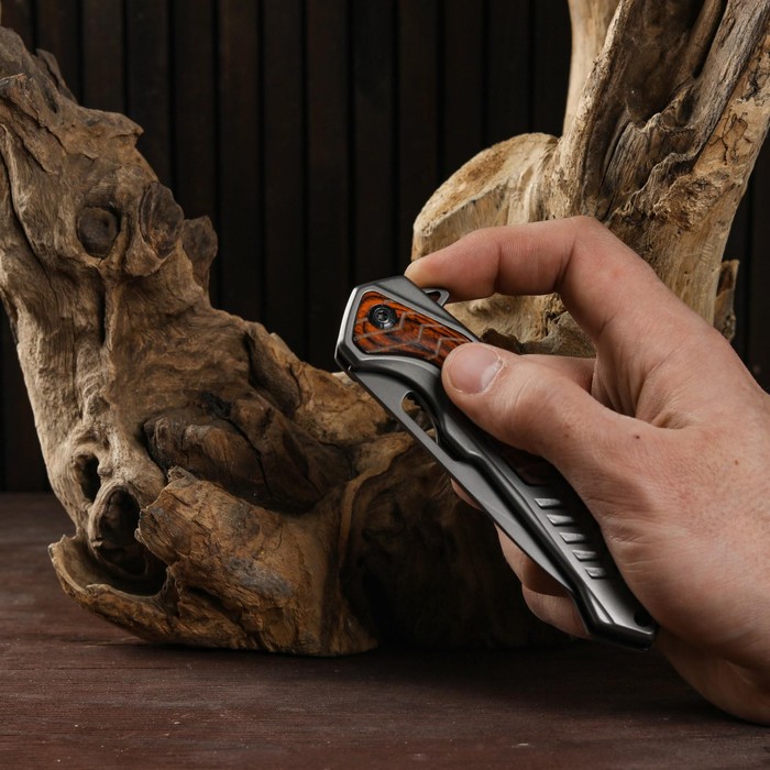 Нож складной "Хищник" полуавтоматический, накладка из дерева, 22см, клинок 9,3см - фото 1927649167