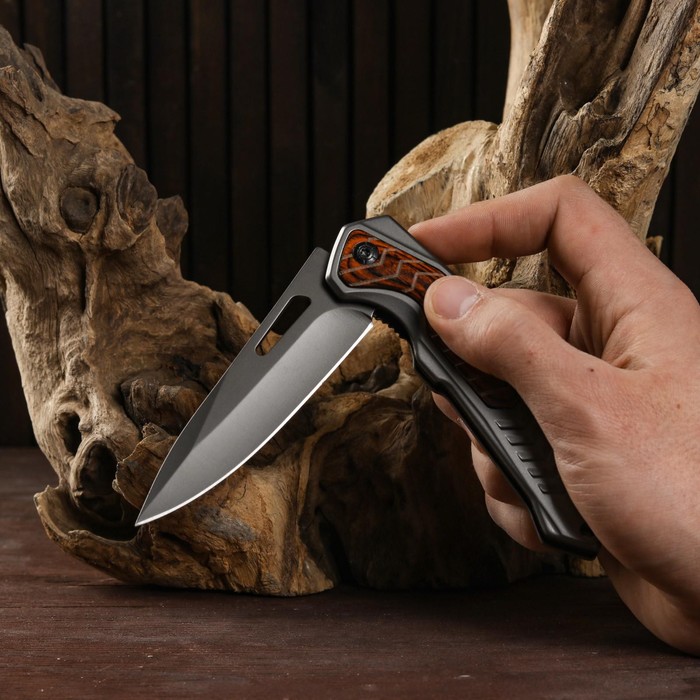 Нож складной "Хищник" полуавтоматический, накладка из дерева, 22см, клинок 9,3см - фото 1927649168