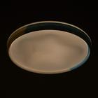 Светильник с ПДУ 670020N LED 72Вт 3 режима 3000-6000К диммер белый-синий 50х50х8 см 4625983