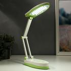 Лампа настольная 16289/1PK 25хLED 3Вт 2 режима USB АКБ бело-зеленый 17х7,5х6,5 см 5375871