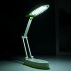 Лампа настольная 16289/1PK 25хLED 3Вт 2 режима USB АКБ бело-зеленый 17х7,5х6,5 см 5375871