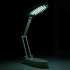 Лампа настольная 16289/1PK 25хLED 3Вт 2 режима USB АКБ бело-зеленый 17х7,5х6,5 см 5375871