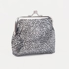 Кошелёк на фермуаре, цвет серебристый - Фото 1