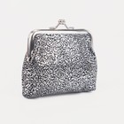 Кошелёк на фермуаре, цвет серебристый - Фото 2