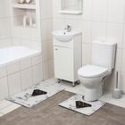 Набор ковриков для ванной и туалета Доляна «Глэм», 2 шт: 50×80, 40×50 см - фото 2613603