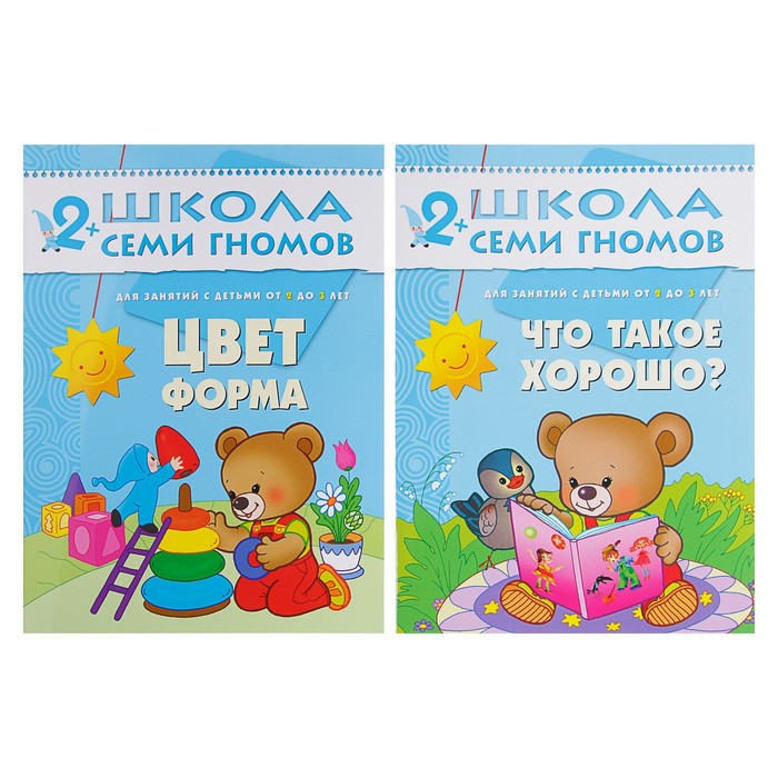 Книги детские набор «Полный годовой курс от 2 до 3 лет», 12 книг с картонной вкладкой, Денисова Д. 735890