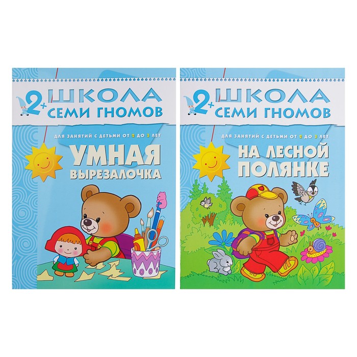 Книги детские набор «Полный годовой курс от 2 до 3 лет», 12 книг с картонной вкладкой, Денисова Д. 735890