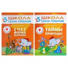 Книги детские набор «Полный годовой курс от 5 до 6 лет», 12 книг с играми и наклейками, Денисова Д. - Фото 7