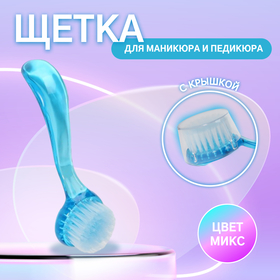 Щётка для маникюра/педикюра, 12,5 см (±1) см, с крышкой, цвет МИКС 736090