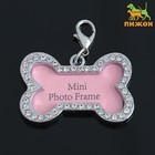 Адресник под записку «Косточка» большой, 4.3×2.8 см - Фото 1