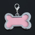 Адресник под записку «Косточка» большой, 4.3×2.8 см - Фото 2