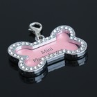 Адресник под записку «Косточка» большой, 4.3×2.8 см - Фото 3