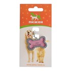 Адресник под записку «Косточка» большой, 4.3×2.8 см - Фото 5