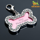 Адресник под записку «Косточка», 3.2×2 см, малый, металл, серебристый - Фото 1