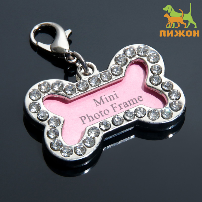 Адресник под записку «Косточка», 3.2×2 см, малый, металл, серебристый - Фото 1