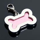 Адресник под записку «Косточка», 3.2×2 см, малый, металл, серебристый - Фото 3