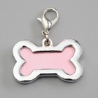 Адресник под записку «Косточка», 3.2×2 см, малый, металл, серебристый - Фото 2