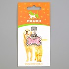 Адресник под записку «Косточка», 3.2×2 см, малый, металл, серебристый - Фото 4