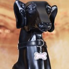 Адресник под записку «Косточка», 3.2×2 см, малый, металл, серебристый - Фото 5