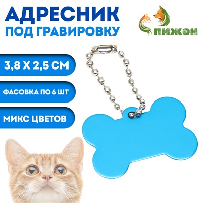 Адресник под гравировку «Косточка», 3.8×2.5 см, фасовка 6 шт., металл, цвет МИКС